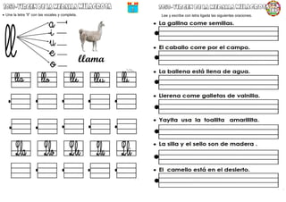  Une la letra “ll” con las vocales y completa. Lee y escribe con letra ligada las siguientes oraciones.
 