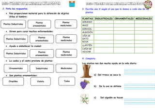 2. Pinta las respuestas.
 Nos proporcionan material para la obtención de objetos
útiles al hombre:
 Sirven para curar muchas enfermedades:
 Ayuda a embellecer la ciudad:
 La caoba y el cedro proviene de plantas:
 Son plantas ornamentales:
3. Escribe una X según el uso que le damos a cada una de las
plantas
4. Completa.
Las plantas nos dan mucha ayuda en la vida diaria:
a) Del tronco se saca la
b) De la uva se obtiene
c) Del algodón se hacen
PLANTAS INDUSTRIALES ORNAMENTALES MEDICINALES
GERANIO
MAIZ
GIRASOL
ALGODÓN
UÑA DE
GATO
ROSA
LLANTÉN
CAÑA DE
AZUCAR
Plantas Industriales
Plantas
ornamentales
Plantas
medicinales
Plantas Industriales
Plantas
ornamentales
Plantas
medicinales
Ornamentales Industriales Medicinales
Plantas Industriales
Plantas
ornamentales
Plantas
medicinales
Orquídea Violeta Todas
 