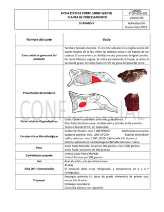 Fichas tecnicas.docx