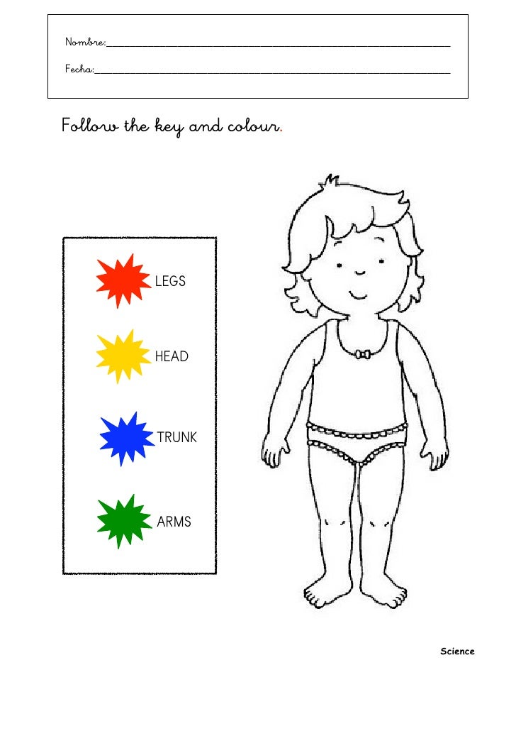 fichas the body course sylabus