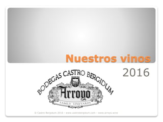 Nuestros vinos
2016
© Castro Bergidum 2016 - www.castrobergidum.com - www.arroyo.wine
 