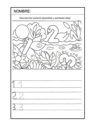 NOMBRE: Descubre los números escondidos y escríbelos abajo 
