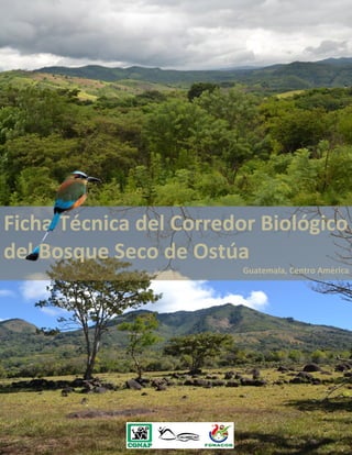 Ficha Técnica del Corredor Biológico
del Bosque Seco de Ostúa
Guatemala, Centro América

 