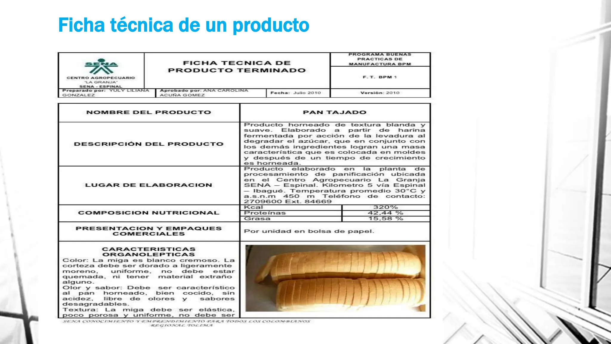 Ficha técnica de un producto o servicio.pptx