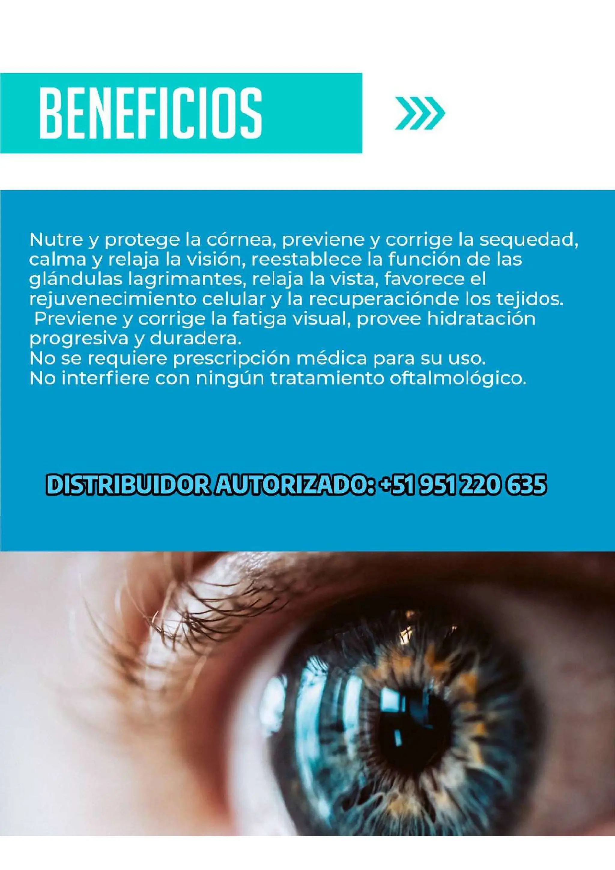 Ficha Técnica Esplendor La Luz de tus Ojos | PDF
