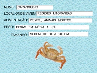 NOME: CARANGUEJO
LOCAL ONDE VIVEM: REGIÕES LITORÂNEAS

ALIMENTAÇÃO: PEIXES , ANIMAIS MORTOS

PESO: PESAM EM MÉDIA 1 KG

   TAMANHO: MEDEM DE 8 A 20 CM
 