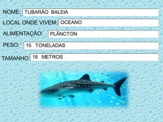 NOME: TUBARÃO BALEIA
LOCAL ONDE VIVEM: OCEANO

ALIMENTAÇÃO:   PLÂNCTON

PESO:   15 TONELADAS

TAMANHO: 18 METROS
 