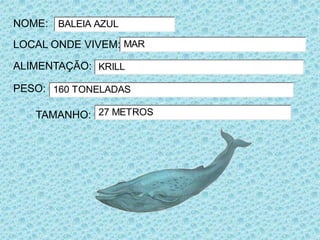 NOME: BALEIA AZUL
LOCAL ONDE VIVEM: MAR

ALIMENTAÇÃO: KRILL

PESO: 160 TONELADAS

   TAMANHO: 27 METROS
 