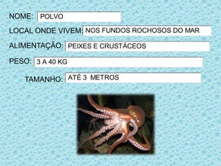 NOME: POLVO
LOCAL ONDE VIVEM: NOS FUNDOS ROCHOSOS DO MAR

ALIMENTAÇÃO: PEIXES E CRUSTÁCEOS

PESO: 3 A 40 KG

    TAMANHO: ATÉ 3 METROS
 