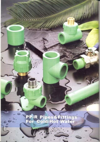 Ficha tecnica era ppr 1