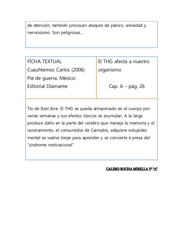 Ficha textual s Ficha textual s