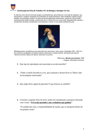 Continuação da Ficha de Trabalho nº2 de Biologia e Geologia 11º ano

À volta dos ovos vão-se formando pregas e protuberâncias, percorridas por uma rede de capilares, que
transportam o oxigénio necessário aos embriões em desenvolvimento. Este rendilhado cutâneo produz
também uma secreção nutritiva. Ao cabo de aproximadamente 3/4semanas, quando as crias já estão
suficientemente desenvolvidas, a bolsa abre-se e o macho dá à luz a sua prole. Seguidamente expulsa o
revestimento da bolsa, semelhante a uma placenta. A prole, é uma réplica perfeita dos pais.




Mitologicamente, acreditava-se que este peixe era meio peixe, meio cavalo. Aristóteles (384 – 322) a.C.,
foi o primeiro investigador de história natural a descrever o cavalo-marinho, afirmando que este se
“desunia durante a época de desova” para parir os juvenis.

                                                                 CMG para o Mundo dos Animais, 2008
                                                                        Imagens: Wikimédia Commons

    1. Que tipo de reprodução está associada ao cavalo-marinho?



    2. “Então o macho fecunda os ovos, que começam a desenvolver-se.”Qual o tipo
        de fecundação relacionada?



    3. Que órgão fará o papel da placenta? O que fornece ao embrião?




    4. Comente a seguinte frase do texto, tendo em consideração a pesquisa efectuada
        com o tema “ O Cavalo-marinho é um verdadeiro pai galinha”:

        “O cuidado das crias, é responsabilidade do macho, que as transporta dentro do
        seu próprio corpo”.




                                                                                                           2
 