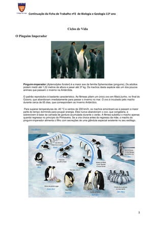 Continuação da Ficha de Trabalho nº2 de Biologia e Geologia 11º ano




                                           Ciclos de Vida

O Pinguim Imperador




    Pinguim-imperador (Aptenodytes forsteri) é a maior ave da família Spheniscidae (pinguins). Os adultos
    podem medir até 1,22 metros de altura e pesar até 37 kg. Os machos desta espécie são um dos poucos
    animais que passam o inverno na Antárctida.

    O padrão reprodutivo é bastante característico. As fêmeas põem um único ovo em Maio/Junho, no final do
    Outono, que abandonam imediatamente para passar o inverno no mar. O ovo é incubado pelo macho
    durante cerca de 65 dias, que correspondem ao Inverno Antárctico.

     Para superar temperaturas de -40 °C e ventos de 200 km/h, os machos amontoam-se e passam a maior
    parte do tempo dormindo para poupar energia. Eles nunca abandonam o ovo, que congelaria, e
    sobrevivem à base da camada de gordura acumulada durante o verão. A fêmea substitui o macho apenas
    quando regressa no princípio da Primavera. Se a cria choca antes do regresso da mãe, o macho do
    pinguim-imperador alimenta o filho com secreções de uma glândula especial existente no seu esófago.




                                                                                                            3
 