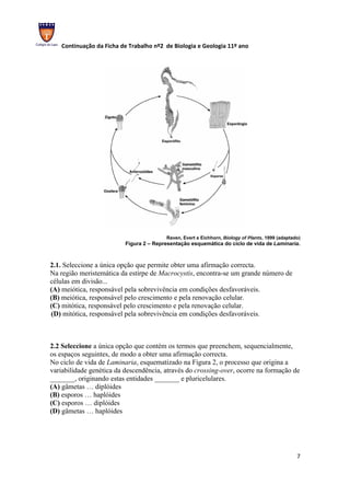 Continuação da Ficha de Trabalho nº2 de Biologia e Geologia 11º ano




                                         Raven, Evert e Eichhorn, Biology of Plants, 1999 (adaptado)
                          Figura 2 – Representação esquemática do ciclo de vida de Laminaria.



2.1. Seleccione a única opção que permite obter uma afirmação correcta.
Na região meristemática da estirpe de Macrocystis, encontra-se um grande número de
células em divisão...
(A) meiótica, responsável pela sobrevivência em condições desfavoráveis.
(B) meiótica, responsável pelo crescimento e pela renovação celular.
(C) mitótica, responsável pelo crescimento e pela renovação celular.
(D) mitótica, responsável pela sobrevivência em condições desfavoráveis.



2.2 Seleccione a única opção que contém os termos que preenchem, sequencialmente,
os espaços seguintes, de modo a obter uma afirmação correcta.
No ciclo de vida de Laminaria, esquematizado na Figura 2, o processo que origina a
variabilidade genética da descendência, através do crossing-over, ocorre na formação de
_______, originando estas entidades _______ e pluricelulares.
(A) gâmetas … diplóides
(B) esporos … haplóides
(C) esporos … diplóides
(D) gâmetas … haplóides




                                                                                                  7
 