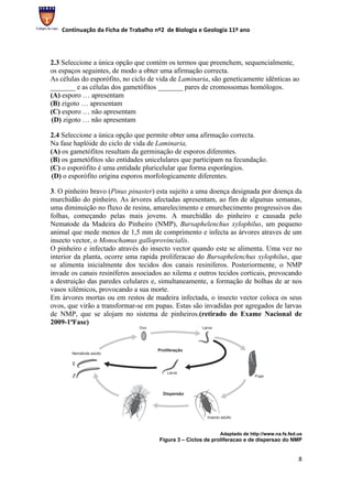 Continuação da Ficha de Trabalho nº2 de Biologia e Geologia 11º ano




2.3 Seleccione a única opção que contém os termos que preenchem, sequencialmente,
os espaços seguintes, de modo a obter uma afirmação correcta.
As células do esporófito, no ciclo de vida de Laminaria, são geneticamente idênticas ao
_______ e as células dos gametófitos _______ pares de cromossomas homólogos.
(A) esporo … apresentam
(B) zigoto … apresentam
(C) esporo … não apresentam
(D) zigoto … não apresentam

2.4 Seleccione a única opção que permite obter uma afirmação correcta.
Na fase haplóide do ciclo de vida de Laminaria,
(A) os gametófitos resultam da germinação de esporos diferentes.
(B) os gametófitos são entidades unicelulares que participam na fecundação.
(C) o esporófito é uma entidade pluricelular que forma esporângios.
(D) o esporófito origina esporos morfologicamente diferentes.

3. O pinheiro bravo (Pinus pinaster) esta sujeito a uma doença designada por doença da
murchidão do pinheiro. As árvores afectadas apresentam, ao fim de algumas semanas,
uma diminuição no fluxo de resina, amarelecimento e emurchecimento progressivos das
folhas, começando pelas mais jovens. A murchidão do pinheiro e causada pelo
Nematode da Madeira do Pinheiro (NMP), Bursaphelenchus xylophilus, um pequeno
animal que mede menos de 1,5 mm de comprimento e infecta as árvores atraves de um
insecto vector, o Monochamus galloprovincialis.
O pinheiro e infectado através do insecto vector quando este se alimenta. Uma vez no
interior da planta, ocorre uma rapida proliferacao do Bursaphelenchus xylophilus, que
se alimenta inicialmente dos tecidos dos canais resiniferos. Posteriormente, o NMP
invade os canais resiníferos associados ao xilema e outros tecidos corticais, provocando
a destruição das paredes celulares e, simultaneamente, a formação de bolhas de ar nos
vasos xilémicos, provocando a sua morte.
Em árvores mortas ou em restos de madeira infectada, o insecto vector coloca os seus
ovos, que virão a transformar-se em pupas. Estas são invadidas por agregados de larvas
de NMP, que se alojam no sistema de pinheiros.(retirado do Exame Nacional de
2009-1ªFase)




                                                             Adaptado de http://www.na.fs.fed.us
                                      Figura 3 – Ciclos de proliferacao e de dispersao do NMP


                                                                                              8
 