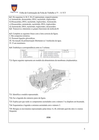 Folha de Continuação da Ficha de Trabalho n.º5 – 11.ºCT

6.1. Os esquemas A, B, C, D e E representam, respectivamente:
a) Aminoácido, dissacarídeo, DNA, nucleótido, triglicerídeo.
b) Dissacarídeo, DNA, nucleótido, triglicerídeo, Aminoácido.
c) Dissacarídeo, aminoácido, nucleótido, DNA, triglicerídeo.
d) Aminoácido, DNA, nucleótido, triglicerídeo, dissacarídeo.
6.2. Transcreva e denomine os grupos funcionais da molécula B.

6.3. Completa as seguintes frases com a letra correcta da figura.
I. São compostos ternários.
II. Possuem ligações glicosídicas.
III. Na reacção de polimerização libertaram-se 3 moléculas de água.
IV. É um monómero.

6.4. Estabeleça a correspondência entre as 3 colunas.




7.A figura seguinte representa um modelo da ultraestrutura da membrana citoplasmática.




7.1. Identifica o modelo representado.
7.2. Faz a legenda dos números pares da figura.
7.3. Explica por que razão os componentes assinalados com o número 3 se dispõem em bicamada.
7.4. Esquematiza e legenda a estrutura assinalada com o número 3.
7.5. Designa os movimentos representados pelas letras A e B, referindo qual dos dois é o menos
frequente.


                                                  FIM




                                                                                                 3
 