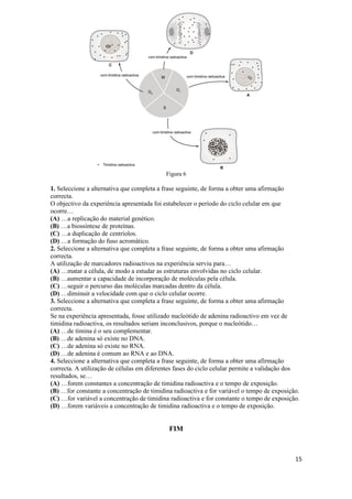 Figura 6

1. Seleccione a alternativa que completa a frase seguinte, de forma a obter uma afirmação
correcta.
O objectivo da experiência apresentada foi estabelecer o período do ciclo celular em que
ocorre…
(A) …a replicação do material genético.
(B) …a biossíntese de proteínas.
(C) …a duplicação de centríolos.
(D) …a formação do fuso acromático.
2. Seleccione a alternativa que completa a frase seguinte, de forma a obter uma afirmação
correcta.
A utilização de marcadores radioactivos na experiência serviu para…
(A) …matar a célula, de modo a estudar as estruturas envolvidas no ciclo celular.
(B) …aumentar a capacidade de incorporação de moléculas pela célula.
(C) …seguir o percurso das moléculas marcadas dentro da célula.
(D) …diminuir a velocidade com que o ciclo celular ocorre.
3. Seleccione a alternativa que completa a frase seguinte, de forma a obter uma afirmação
correcta.
Se na experiência apresentada, fosse utilizado nucleótido de adenina radioactivo em vez de
timidina radioactiva, os resultados seriam inconclusivos, porque o nucleótido…
(A) …de timina é o seu complementar.
(B) …de adenina só existe no DNA.
(C) …de adenina só existe no RNA.
(D) …de adenina é comum ao RNA e ao DNA.
4. Seleccione a alternativa que completa a frase seguinte, de forma a obter uma afirmação
correcta. A utilização de células em diferentes fases do ciclo celular permite a validação dos
resultados, se…
(A) …forem constantes a concentração de timidina radioactiva e o tempo de exposição.
(B) …for constante a concentração de timidina radioactiva e for variável o tempo de exposição.
(C) …for variável a concentração de timidina radioactiva e for constante o tempo de exposição.
(D) …forem variáveis a concentração de timidina radioactiva e o tempo de exposição.


                                            FIM



                                                                                            15
 
