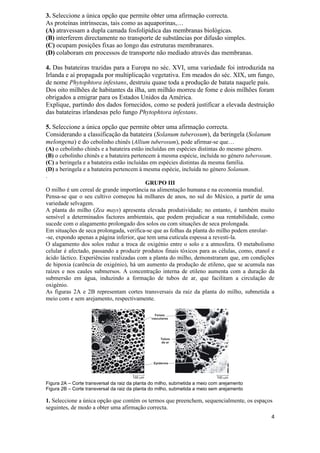3. Seleccione a única opção que permite obter uma afirmação correcta.
As proteínas intrínsecas, tais como as aquaporinas,…
(A) atravessam a dupla camada fosfolipídica das membranas biológicas.
(B) interferem directamente no transporte de substâncias por difusão simples.
(C) ocupam posições fixas ao longo das estruturas membranares.
(D) colaboram em processos de transporte não mediado através das membranas.

4. Das batateiras trazidas para a Europa no séc. XVI, uma variedade foi introduzida na
Irlanda e aí propagada por multiplicação vegetativa. Em meados do séc. XIX, um fungo,
de nome Phytophtora infestans, destruiu quase toda a produção de batata naquele país.
Dos oito milhões de habitantes da ilha, um milhão morreu de fome e dois milhões foram
obrigados a emigrar para os Estados Unidos da América.
Explique, partindo dos dados fornecidos, como se poderá justificar a elevada destruição
das batateiras irlandesas pelo fungo Phytophtora infestans.

5. Seleccione a única opção que permite obter uma afirmação correcta.
Considerando a classificação da batateira (Solanum tuberosum), da beringela (Solanum
melongena) e do cebolinho chinês (Allium tuberosum), pode afirmar-se que…
(A) o cebolinho chinês e a batateira estão incluídas em espécies distintas do mesmo género.
(B) o cebolinho chinês e a batateira pertencem à mesma espécie, incluída no género tuberosum.
(C) a beringela e a batateira estão incluídas em espécies distintas da mesma família.
(D) a beringela e a batateira pertencem à mesma espécie, incluída no género Solanum.
.
                                            GRUPO III
O milho é um cereal de grande importância na alimentação humana e na economia mundial.
Pensa-se que o seu cultivo começou há milhares de anos, no sul do México, a partir de uma
variedade selvagem.
A planta do milho (Zea mays) apresenta elevada produtividade; no entanto, é também muito
sensível a determinados factores ambientais, que podem prejudicar a sua rentabilidade, como
sucede com o alagamento prolongado dos solos ou com situações de seca prolongada.
Em situações de seca prolongada, verifica-se que as folhas da planta do milho podem enrolar-
-se, expondo apenas a página inferior, que tem uma cutícula espessa a revesti-la.
O alagamento dos solos reduz a troca de oxigénio entre o solo e a atmosfera. O metabolismo
celular é afectado, passando a produzir produtos finais tóxicos para as células, como, etanol e
ácido láctico. Experiências realizadas com a planta do milho, demonstraram que, em condições
de hipoxia (carência de oxigénio), há um aumento da produção de etileno, que se acumula nas
raízes e nos caules submersos. A concentração interna de etileno aumenta com a duração da
submersão em água, induzindo a formação de tubos de ar, que facilitam a circulação de
oxigénio.
As figuras 2A e 2B representam cortes transversais da raiz da planta do milho, submetida a
meio com e sem arejamento, respectivamente.




Figura 2A – Corte transversal da raiz da planta do milho, submetida a meio com arejamento
Figura 2B – Corte transversal da raiz da planta do milho, submetida a meio sem arejamento

1. Seleccione a única opção que contém os termos que preenchem, sequencialmente, os espaços
seguintes, de modo a obter uma afirmação correcta.
                                                                                             4
 