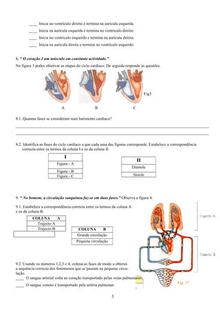 ____ Inicia no ventrículo direito e termina na aurícula esquerda.
        ____ Inicia na aurícula esquerda e termina no ventrículo direito.
        ____ Inicia no ventrículo esquerdo e termina na aurícula direita.
        ____ Inicia na aurícula direita e termina no ventrículo esquerdo.


8. “ O coração é um músculo em constante actividade.”
Na figura 3 podes observar as etapas do ciclo cardíaco. De seguida responde às questões.




                                                                                  Fig3


                            A                   B                        C

8.1. Quantas fases se consideram num batimento cardíaco?
_______________________________________________________________________________________________
_______________________________________________________________________________________________

8.2. Identifica as fases do ciclo cardíaco a que cada uma das figuras corresponde. Estabelece a correspondência
    correcta entre os termos da coluna I e os da coluna II.
                             I
                                                                             II
                         Figura - A
                                                                         Diástole
                         Figura - B
                         Figura - C                                      Sístole




9. “ No homem, a circulação sanguínea faz-se em duas fases.” Observa a figura 4.

9.1. Estabelece a correspondência correcta entre os termos da coluna A
e os da coluna B.
          COLUNA       A
            Trajecto A
            Trajecto B                 COLUNA         B
                                      Grande circulação
                                      Pequena circulação




9.2. Usando os números 1,2,3 e 4, ordena as fases de modo a obteres
a sequência correcta dos fenómenos que se passam na pequena circu-
lação.
____ O sangue arterial volta ao coração transportado pelas veias pulmonares.
____ O sangue venoso é transportado pela artéria pulmonar.

                                                           3
 