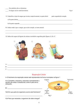 ____ Nos pulmões dá-se a hematose.
____ O sangue sai do ventrículo direito.                                                                          Fig.4



9.3. Identifica o tipo de sangue que circula, respectivamente, na parte direita e na parte esquerda do coração.

    a) Na parte direita_____________________________________________________________________________

    b) Na parte esquerda ___________________________________________________________________________

9.4. Indica onde é que o sangue, que sai do coração, se torna arterial.
_______________________________________________________________________________________________
_______________________________________________________________________________________________

10. Indica três regras de higiene do sistema circulatório sugeridas pelas figuras A, B, e C.




A - ____________________________________________________________________________________________
B - ____________________________________________________________________________________________
C - ____________________________________________________________________________________________


                                                 Respiração Celular
1- O fenómeno da respiração celular está representado de forma incompleta na figura 1

1.1- Completa o esquema, colocando correctamente o
sentido das setas e substituindo a letra A pelo termo
adequado.

A - ____________________________________________

1.2- Em que parte do organismo ocorre este fenómeno?

_______________________________________________                               Fig.1

1.3- Para que necessita o organismo de obter energia?

                                                            4
 