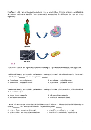 2
2.Na figura 2 estão representados dois organismos vivos de complexidade diferente, o homem e uma bactéria.
Na imagem encontra-se, também, uma representação esquemática da célula tipo de cada um destes
organismos.
2.1 Classifica cada um dos organismos representados na figura 2 quanto ao número de células que possuem.
2.2 Seleciona a opção que completa corretamente a afirmação seguinte. Contrariamente à célula bacteriana, a
célula humana é _______ uma vez que apresenta _______.
A. Procariótica ... material genético
B. procariótica ... verdadeiro núcleo
C. eucariótica ... material genético
D. eucariótica ... verdadeiro núcleo
2.3 Seleciona a opção que completa corretamente a afirmação seguinte. A célula humana é, inequivocamente,
do tipo animal porque
A. possui membrana celular.
B. não possui cloroplastos.
C. não possui parede celular.
D. possui um verdadeiro núcleo.
2.4 Seleciona a opção que completa corretamente a afirmação seguinte. O organismo humano representado na
figura é _______ , uma vez que as suas células não possuem organitos _______.
A. heterotrófico ... produtores de energia
B. heterotrófico ... que realizem a fotossíntese
C. autotrófico ... produtores de energia
D. autotrófico ... que realizem a fotossíntese
 
