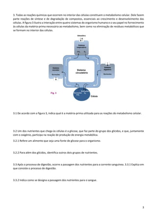3
3. Todas as reações químicas que ocorrem no interior das células constituem o metabolismo celular. Dele fazem
parte reações de síntese e de degradação de compostos, essenciais ao crescimento e desenvolvimento das
células. A figura 3 ilustra a interação entre quatro sistemas do organismo humano e o seu papel no fornecimento
às células da matéria-prima necessária ao metabolismo, bem como na eliminação de resíduos metabólicos que
se formam no interior das células.
3.1 De acordo com a figura 3, indica qual é a matéria-prima utilizada para as reações do metabolismo celular.
3.2 Um dos nutrientes que chega às células é a glicose, que faz parte do grupo dos glícidos, e que, juntamente
com o oxigénio, participa na reação de produção de energia metabólica.
3.2.1 Refere um alimento que seja uma fonte de glicose para o organismo.
3.2.2 Para além dos glícidos, identifica outros dois grupos de nutrientes.
3.3 Após o processo de digestão, ocorre a passagem dos nutrientes para a corrente sanguínea. 3.3.1 Explica em
que consiste o processo de digestão.
3.3.2 Indica como se designa a passagem dos nutrientes para o sangue.
 