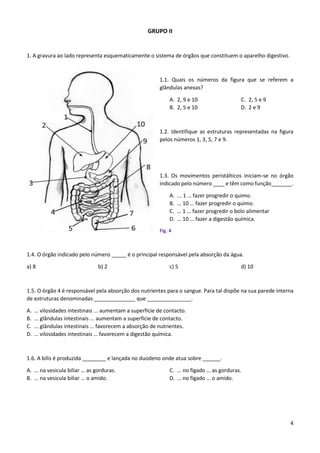 4
GRUPO II
1. A gravura ao lado representa esquematicamente o sistema de órgãos que constituem o aparelho digestivo.
1.1. Quais os números da figura que se referem a
glândulas anexas?
A. 2, 9 e 10
B. 2, 5 e 10
C. 2, 5 e 9
D. 2 e 9
1.2. Identifique as estruturas representadas na figura
pelos números 1, 3, 5, 7 e 9.
1.3. Os movimentos peristálticos iniciam-se no órgão
indicado pelo número ____ e têm como função_______.
A. ... 1 … fazer progredir o quimo.
B. … 10 … fazer progredir o quimo.
C. … 1 … fazer progredir o bolo alimentar
D. … 10 … fazer a digestão química.
Fig. 4
1.4. O órgão indicado pelo número _____ é o principal responsável pela absorção da água.
a) 8 b) 2 c) 5 d) 10
1.5. O órgão 4 é responsável pela absorção dos nutrientes para o sangue. Para tal dispõe na sua parede interna
de estruturas denominadas ______________ que _______________.
A. … vilosidades intestinais ... aumentam a superfície de contacto.
B. … glândulas intestinais ... aumentam a superfície de contacto.
C. … glândulas intestinais … favorecem a absorção de nutrientes.
D. … vilosidades intestinais … favorecem a digestão química.
1.6. A bílis é produzida ________ e lançada no duodeno onde atua sobre ______.
A. … na vesicula biliar … as gorduras.
B. … na vesicula biliar … o amido.
C. … no fígado … as gorduras.
D. … no fígado … o amido.
 