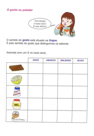 Ficha visão   audição - gosto - olfacto