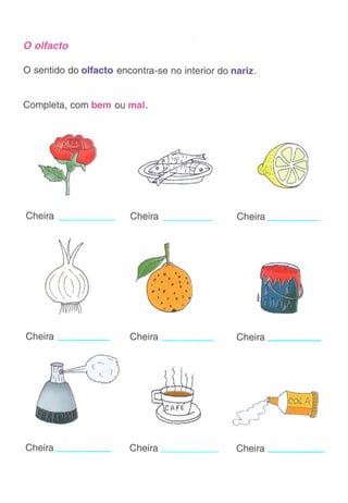 Ficha visão   audição - gosto - olfacto
