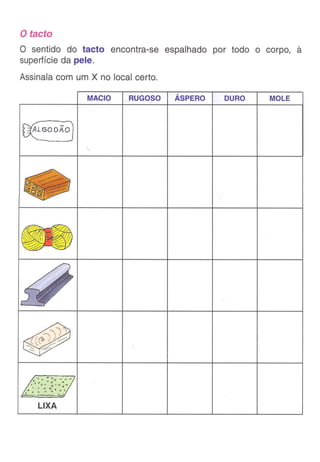 Ficha visão   audição - gosto - olfacto