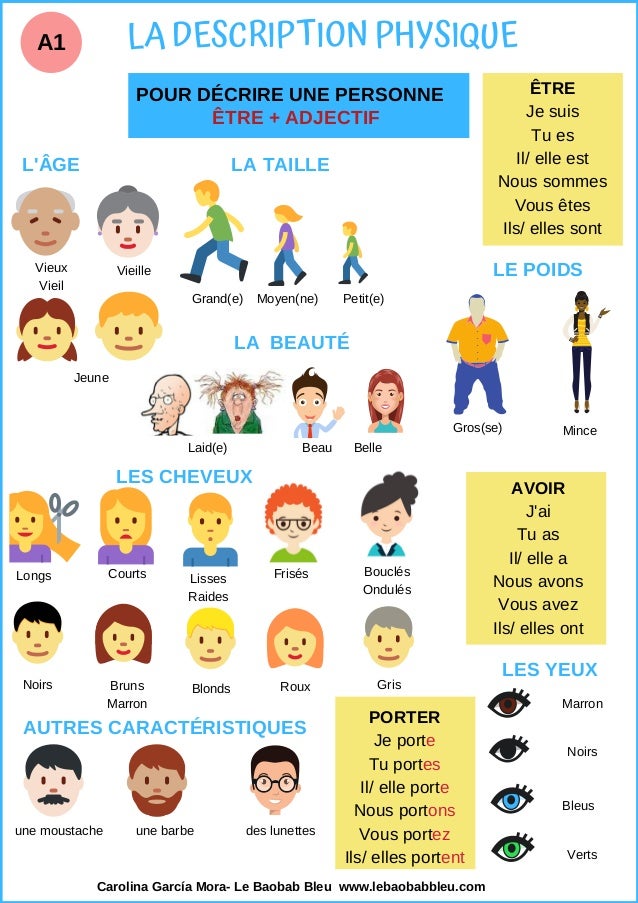 Fiche la description physique (A1)