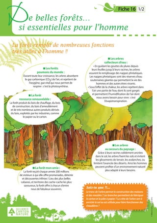 D         e belles forêts…
       si essentielles pour l’homme
                                                                                                 Fiche 16 1/2




  La forêt remplit de nombreuses fonctions
  très utiles à l’homme !!
                                                                                        Les arbres
                                                                                   collecteurs d’eau :
                                                                         • En guidant les gouttes de pluies depuis
                             Les forêts                               leurs feuilles jusqu’à leurs racines, les arbres
                        poumons du monde :                         assurent le remplissage des nappes phréatiques.
            Durant toute leur croissance, les arbres absorbent      Les nappes phréatiques sont des réserves d’eau
             le gaz carbonique (CO2) de l’air, et rejettent de       souterraines géantes qui permettent la vie des
                 l’oxygène, gaz vital qui nous permet de                    hommes et des autres êtres vivants.
                     respirer : c’est la photosynthèse.           • Sous l’effet de la chaleur, les arbres rejettent dans
                                                                       l’air une partie de l’eau dont ils sont gorgés
                 La forêt                                              et permettent l’humidification de l’air dont
                                                                             nous avons besoin pour vivre : c’est
        ressource renouvelable :
                                                                                    l’évapotranspiration.
La forêt produit du bois de chauffage, du bois
  de construction, du bois d’ameublement
 et de très nombreux autres produits dérivés
 du bois, exploités par les industries, comme
             le papier ou le carton.




                                                                                           Les arbres
                                                                                    au secours du paysage :
                                                                            Grâce à leurs racines solidement ancrées
                                                                          dans le sol, les arbres fixent les sols et évitent
                                                                          les glissements de terrain, les avalanches, ou
                                                                        limitent l’avancée des déserts. Ainsi les hommes
                       La forêt mon amie :                                peuvent profiter d’un environnement naturel
            La forêt reçoit chaque année 200 millions                               plus adapté à leurs besoins.
         de visiteurs à qui elle offre promenades, détente
           et découvertes infinies ! Lieu des plus belles
          cabanes, et territoire des cache-cache les plus
             savoureux, la forêt offre à chacun d’entre
                    nous de fabuleux souvenirs.                  Sais-tu que ?!...
                                                                 Le tronc de l’arbre permet la construction des maisons
                                                                 et des meubles ? Les branches permettent de fabriquer
                                                                                                                               © Alliance Carton Nature 2012




                                                                 le carton et la pâte à papier ? La crête de l’arbre sert à
                                                                 enrichir le sol ou est utilisée pour faire fonctionner des
                                                                 chaudières ?
 