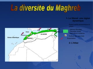 1- Le littoral: une région dynamique Océan Atlantique MAROC ALGERIE TUNISIE Grand centre économique et urbain Casablanca Rabat Oran Alger Tunis - plaines littorales - Densités fortes - agriculture moderne Culture des agrumes Exportation 2- L'Atlas 