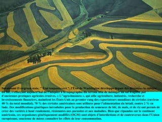 Surnommé Evergreen state, " État toujours vert ", l'État de Washington développe depuis des décennies la culture du blé, s'efforçant aujourd'hui de l'adapter à la topographie du terrain afin de ménager un sol fragilisé par d'anciennes pratiques agricoles érosives. « L''agro-business », qui allie agriculture, industrie, recherche et investissements financiers, maintient les États-Unis au premier rang des exportateurs mondiaux de céréales (environ 40 % du total mondial). 70 % des céréales américaines sont utilisées pour l'alimentation du bétail, contre 2 % en Inde. Des modifications génétiques introduites pour la production de semences de blé, de maïs, et de riz ont permis de créer des variétés à haut rendement, résistantes aux parasites et aux maladies. Bien que répandus sur le continent américain, ces organismes génétiquement modifiés (OGM) sont objets d'interdictions et de controverses dans l'Union européenne, soucieuse de mieux connaître les effets de leur consommation. 