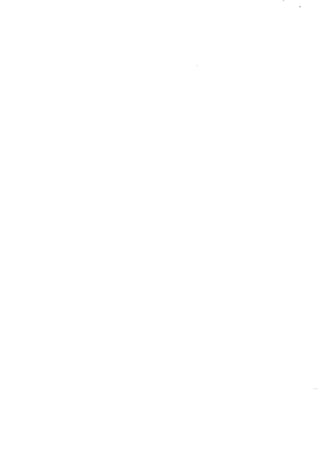 Fiche de poste chef du bsic du cnaps 3