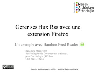 Gérer ses flux Rss avec une
extension Firefox
Un exemple avec Bamboo Feed Reader
Bénédicte MacGregor
Service Ingénierie Documentaire et réseaux
pour l’archéologie (SIDRA)
USR 3225 - CNRS
Surveiller ses thématiques – Avril 2014 - Bénédicte MacGregor - SIDRA
 