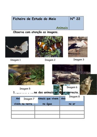 Ficheiro de Estudo do Meio
Animais
Nº 22
Observa com atenção as imagens.
1.Escreve o nome dos animais no lugar correcto.
Animais que
vivem na terra
Animais que vivem
na água
Animais que vivem
no ar
Imagem 1 Imagem 2 Imagem 3
Imagem 5
Imagem 6
Imagem 7
Imagem 8
 