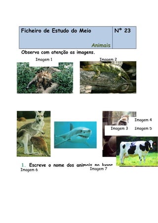 Ficheiro de Estudo do Meio
Animais
Nº 23
Observa com atenção as imagens.
1. Escreve o nome dos animais no lugar
correcto.
Imagem 2
Imagem 6
Imagem 3 Imagem 5
Imagem 1
Imagem 4
Imagem 7
 