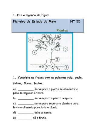 1. Faz a legenda da figura
Ficheiro de Estudo do Meio
Plantas
Nº 25
1. Completa as frases com as palavras raiz, caule,
folhas, flores, frutos.
a) _________ serve para a planta se alimentar e
para se segurar à terra.
b) _________ servem para a planta respirar.
c) _________ serve para segurar a planta e para
levar o alimento para toda a planta.
d) _________ dá a semente.
e) ________ dá o fruto.
 