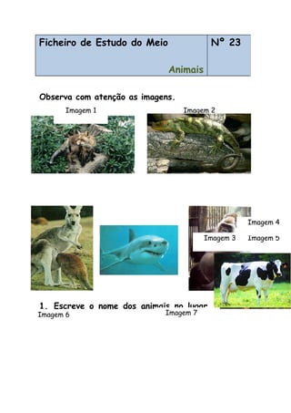 Observa com atenção as imagens.
1. Escreve o nome dos animais no lugar
correcto.
Ficheiro de Estudo do Meio
Animais
Nº 23
Imagem 2
Imagem 6
Imagem 3 Imagem 5
Imagem 1
Imagem 4
Imagem 7
 