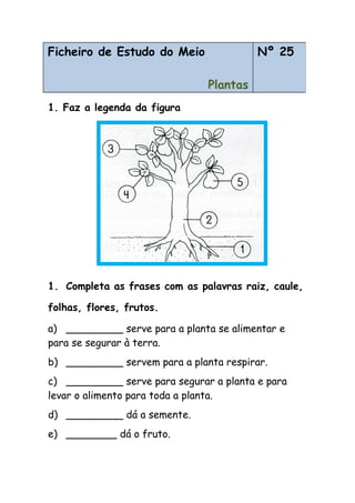 1. Faz a legenda da figura
1. Completa as frases com as palavras raiz, caule,
folhas, flores, frutos.
a) _________ serve para a planta se alimentar e
para se segurar à terra.
b) _________ servem para a planta respirar.
c) _________ serve para segurar a planta e para
levar o alimento para toda a planta.
d) _________ dá a semente.
e) ________ dá o fruto.
Ficheiro de Estudo do Meio
Plantas
Nº 25
 