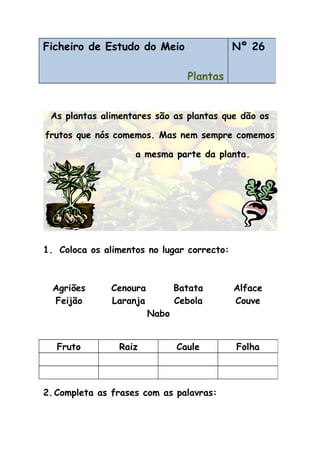As plantas alimentares são as plantas que dão os
frutos que nós comemos. Mas nem sempre comemos
a mesma parte da planta.
1. Coloca os alimentos no lugar correcto:
Agriões Cenoura Batata Alface
Feijão Laranja Cebola Couve
Nabo
2.Completa as frases com as palavras:
Ficheiro de Estudo do Meio
Plantas
Nº 26
Fruto Raiz Caule Folha
 