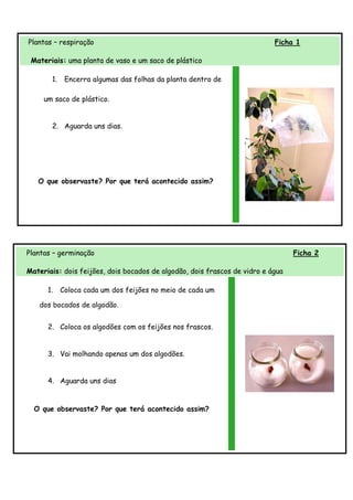 Plantas – respiração                                                       Ficha 1

 Materiais: uma planta de vaso e um saco de plástico

       1.    Encerra algumas das folhas da planta dentro de

     um saco de plástico.


       2. Aguarda uns dias.




   O que observaste? Por que terá acontecido assim?




Plantas – germinação                                                             Ficha 2

Materiais: dois feijões, dois bocados de algodão, dois frascos de vidro e água

      1.    Coloca cada um dos feijões no meio de cada um

   dos bocados de algodão.


      2. Coloca os algodões com os feijões nos frascos.


      3. Vai molhando apenas um dos algodões.


      4. Aguarda uns dias


  O que observaste? Por que terá acontecido assim?
 