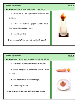 Plantas – germinação                                          Ficha 3

Materiais: um frasco de boca larga, uma cebola e água

      1.   Deita água no frasco quase até ao cimo, mas sem

   o encher.


      2. Coloca a cebola sobre o gargalo do frasco com o

   lado das raízes virado para baixo.


      3. Aguarda uns dias.


  O que observaste? Por que terá acontecido assim?




Plantas – germinação                                          Ficha 4

Materiais: uma cenoura, uma faca e um pratinho de plástico

      1.   Com a faca corta a parte de cima da cenoura.


      2. Coloca essa parte no pratinho de plástico e deita-

   lhe água.


      3. Não deixes secar, vai deitando água.


      4. Aguarda alguns dias.


O que observaste? Por que terá acontecido assim?
 