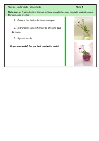 Plantas - capilaridade – alimentação                                     Ficha 5

Materiais: um frasco de vidro, tinta ou anilina e uma planta o mais completa possível ou uma
flor com caule e folhas

      1.   Coloca a flor dentro do frasco com água.


      2. Mistura um pouco de tinta ou de anilina na água

   do frasco.


      3. Aguarda um dia.


  O que observaste? Por que terá acontecido assim?
 