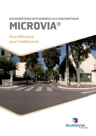 Microbétons bitumineux 0/6 discontinus

Microvia

®

Une référence
pour l’adhérence

 