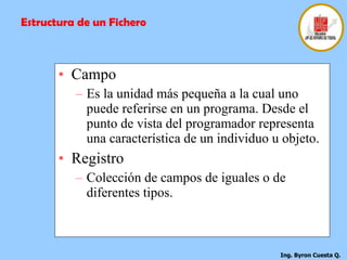 Campo Es la unidad más pequeña a la cual uno puede referirse en un programa. Desde el punto de vista del programador representa una característica de un individuo u objeto.   Registro Colección de campos de iguales o de diferentes tipos. Estructura de un Fichero 