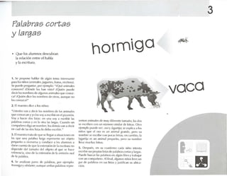 Palabras cortas
y largas
• Que Jos alumnos descubran
la relación entre el habla
y 1.1 escritura.
hormiga
3
1. Se propone h.lhl,¡r de .ll~ün h'l!lo) lnu-resante
p.n.l los nirlos tanimalcs , juguetes , frutas, {·(('t·ler,l).
Se puede prl'gunl.lf. l'tJrl'jt'mplo: "¡Q m"' .mimak-s
("(mon 'n! i Dúndl' los h.m visto! iQui('n ptlt'dl'
dtx-ir los ncmbn-s ¡j(' .rlgrmos animak-s qUl' ('ono/ -
e,l! iQ ui{'1l d in.' los nombrl's di' otros, ;lllflq Ul' no
losnJt1o/ có1!"
2. Elm.u-stm din~ ;l los nirios:
"Ustedes van ;l dcdr los numhres de los .mimales
qut' cono/can y yo Jos v ov a csuihir t'1l l'1 pir,urón.
Voy .1 hacer dos IiSI.IS: en un.1 voy .1 l~ rihir l.ts
1l.11.1hr.1S<:orf.ISy en 1.1otr.l r.lo; I,Ug.IS. Cu.mdn un
com pañero digol un nombn-, los dl'nl.h van ,1d("("ir
en ell.'il de 1.1s dos llst.rs In deho escriblr ."
J. El maes tro trolla dt"que ~·lIl'gUl' .l silu,lCiorws ('11
las qm' una 1l.l1.lhr.1 I.lrgol represente un objelo
pl'qllt'flll o vin ·Vl'rs.l y n ll1dll('l' .1 los ,lluml1os .1
d,I(sP eUl'nla de (JlH' 1.1('xll'nsi{m de 1,1{'~-riltJr,1 no
dt'pl'ndt. del l,llll,lIio dt'l olljdo ,11 que Sl~ h.m-
rpft'tl'llt"iil,sino d!' 1,1 ('xtt'nsiún dI' 1,11'lllisiún or,11
rh- 1,1p,1Iabr.l .
4. SI' ,ln.J1iz.¡n p,Hes dl~ p,11,lbr.ls, por I'jl'mplo:
1""m~¡¡.1 y {'/t'Ú"'l~ .1umIlIt· ,111111.lS1MI,lbr,ISrl'pR'·
sent.m .mim,l1t-·s d(' IllUYdilcrcntetamaúo, I,ISdos
St ' l'sn ih('n ron un número sirnil.tr de h-tras. Olro
('jt'mplu pu('(k' ser: O:iOY t.W.1rtlj.r, se explic.l ,! ~ ~
niños que l"I oso lOS un .mim.ll ~r.lI1d('. Pt'fU su
nomlne St ' l'St:rih(' rr m pOC.ISlelr,ls; en cambio, 1.1
la~'lftij.1 lOS un ,Illinl.ll P('(IUI' fIO, pt'ro su nomh n-
lIev,l much.rs h-tras.
5 . Dl'sput·s, pn su ct r.ldl 'rn O e,1d,1 l1iflO inll'nl,1
('S('ril¡irsus 1m11¡i,lSIislilS(Jt' ¡),JI,11iras rt ¡rl,IS y 1,1rg.lS.
PIIPdt' bus(",lr las pal.thr.ts e-n ,llglil1 lihro y lr,I!J,lj.lr
rnnrm rmnp.uu-ro. Alfinal, .llglllloSnilios 11'l'1l un
p,u dI' p.ll.lhr.ls en sus li..I.1S y juslifican su uhic.l-
ción.
vaca
 