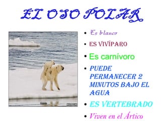EL OSO POLAR
      ●   Es blanco
      ●   Es vivíparo
      ●
          Es carnívoro
      ●   puEdE
          pErmanEcEr 2
          minutos bajo El
          agua
      ● Es vErtEbrado
      ● Viven en el Ártico
 