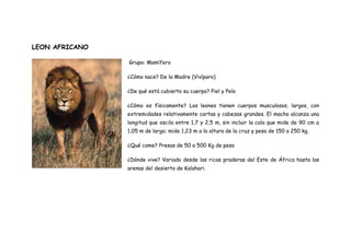 LEON AFRICANO
Grupo: Mamífero
¿Cómo nace? De la Madre (Vivíparo)
¿De qué está cubierto su cuerpo? Piel y Pelo
¿Cómo es físicamente? Los leones tienen cuerpos musculosos, largos, con
extremidades relativamente cortas y cabezas grandes. El macho alcanza una
longitud que oscila entre 1,7 y 2,5 m, sin incluir la cola que mide de 90 cm a
1,05 m de largo; mide 1,23 m a la altura de la cruz y pesa de 150 a 250 kg.
¿Qué come? Presas de 50 a 500 Kg de peso
¿Dónde vive? Variado desde las ricas praderas del Este de África hasta las
arenas del desierto de Kalahari.
 